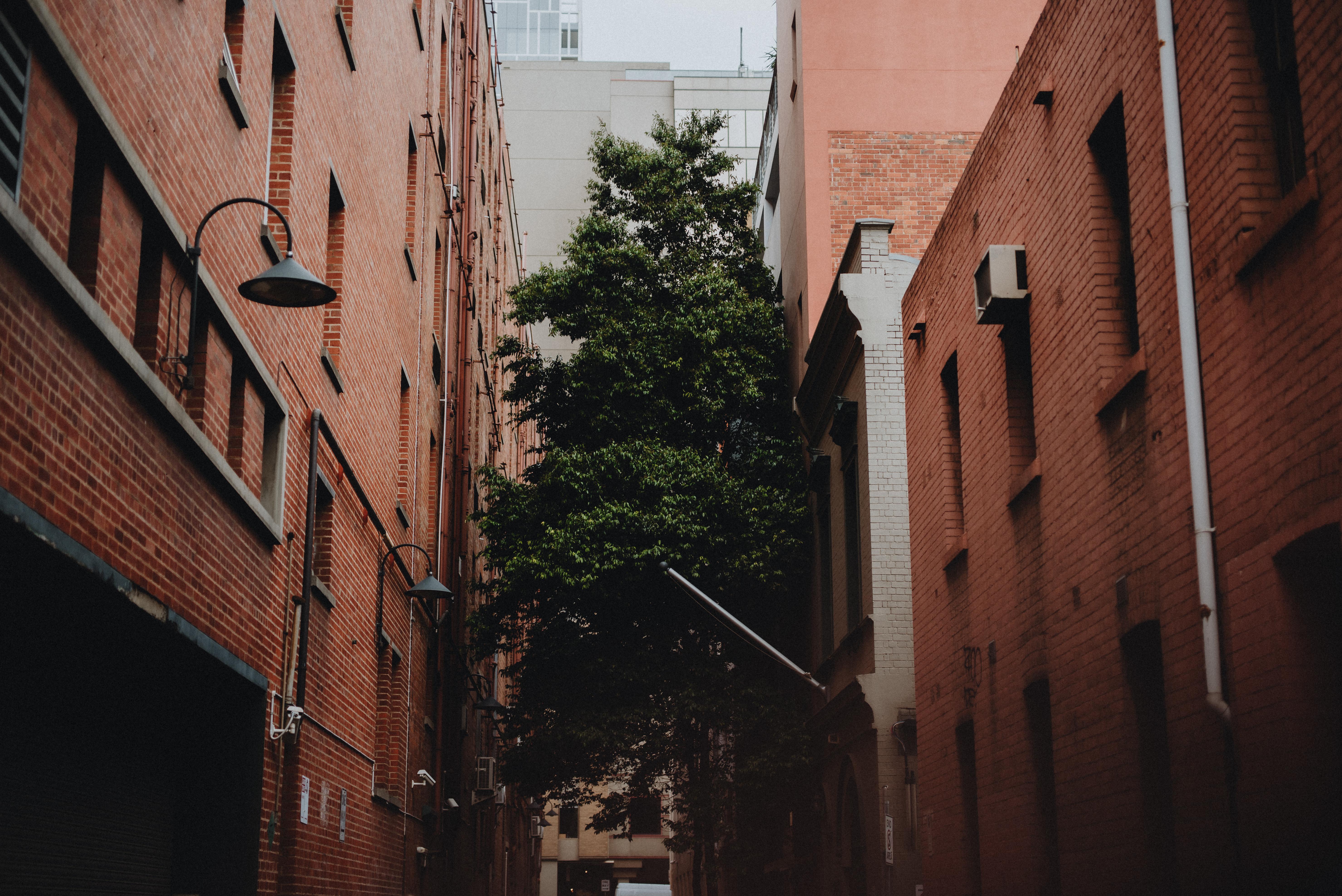 Lancemore Crossley St. Melbourne Dış mekan fotoğraf The alleyway of the building